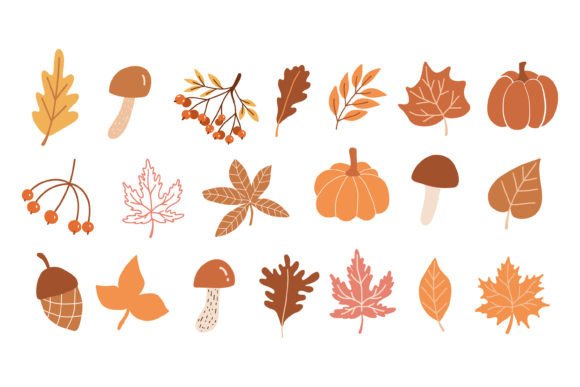 Hand Draw Autumn Elements: Decorative Graphics for Sellers