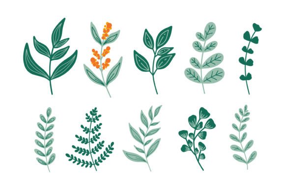 Hand Draw Botanical Cliparts. Floral Ele